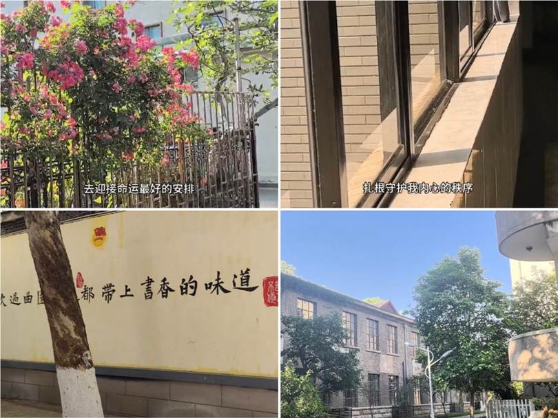 图示, 示意图&#10;&#10;中度可信度描述已自动生成:ver1